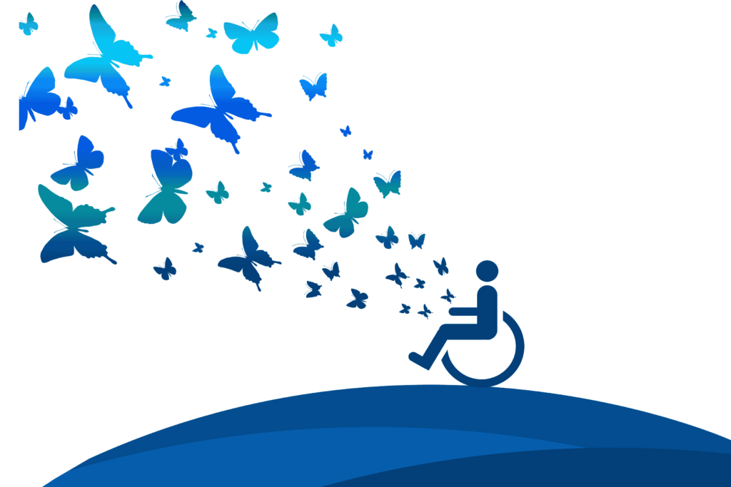 IN G.U. IL DLGS. 222/2023 CHE INTRODUCE DISPOSIZIONI PER L'INCLUSIONE E L'ACCESSIBILITÀ DELLE PERSONE CON DISABILITÀ